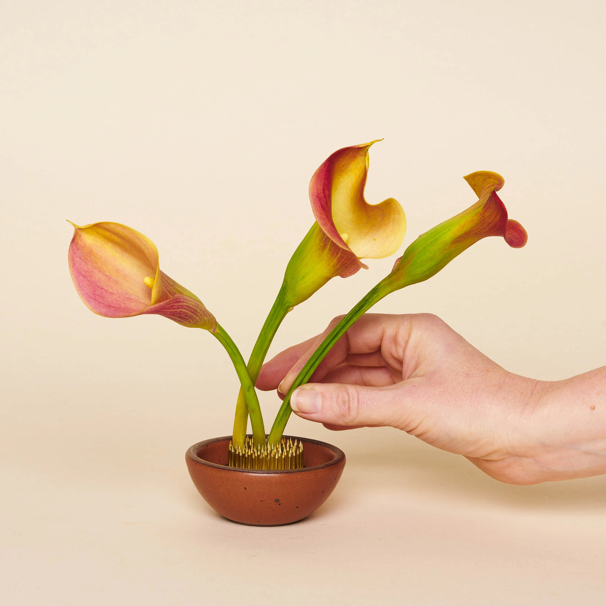 Flower Frogs - Image 7